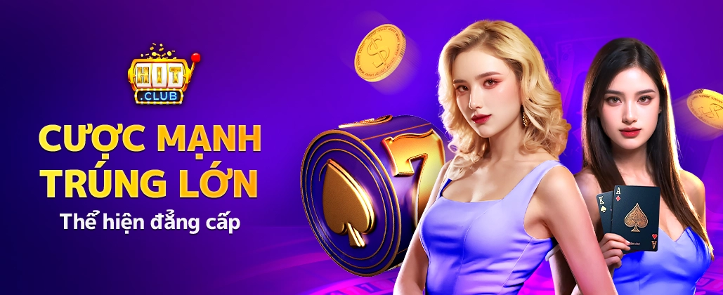 Hình ảnh Biểu ngữ Mèo Lucky 4